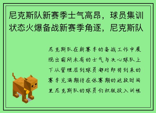 尼克斯队新赛季士气高昂，球员集训状态火爆备战新赛季角逐，尼克斯队首发阵容