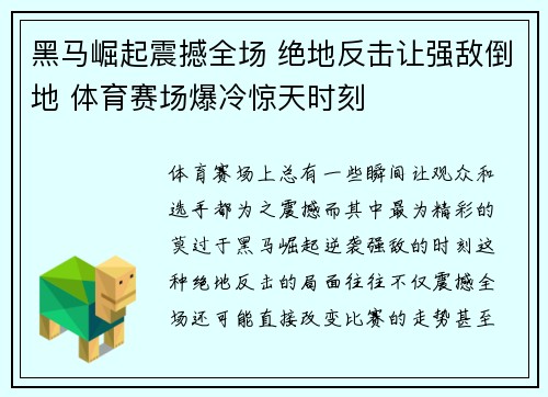 b体育