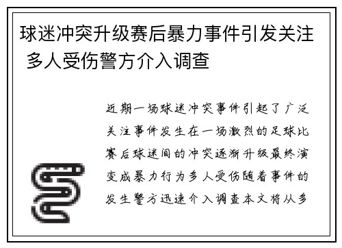 球迷冲突升级赛后暴力事件引发关注 多人受伤警方介入调查